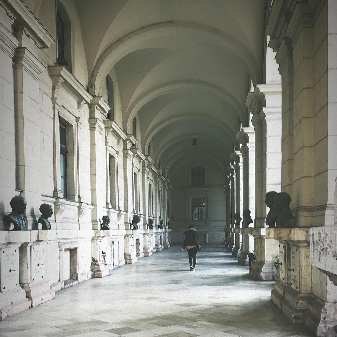 Learning to speak Hungarian